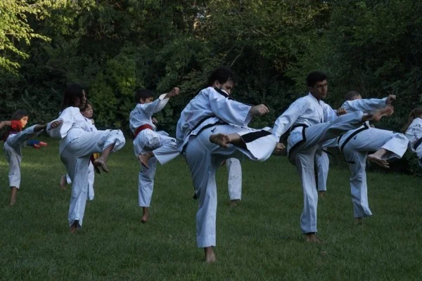 taekwondo spinning kick
